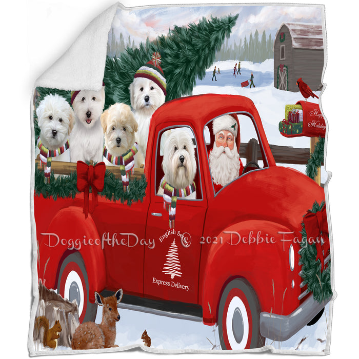 Christmas Santa Express Delivery Red Truck Coton De Tulear Dogs Blanket