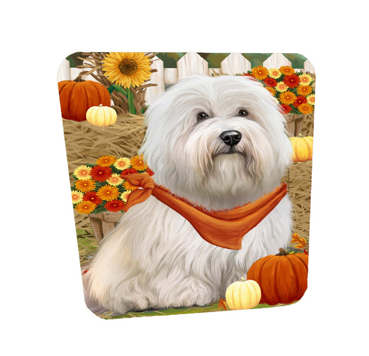 Fall Pumpkin Autumn Greeting Coton De Tulear Dog Coasters Set of 4 CSTA58497