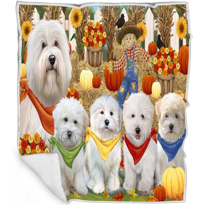 Fall Festive Gathering Coton De Tulear Dogs with Pumpkins Blanket BLNKT142406