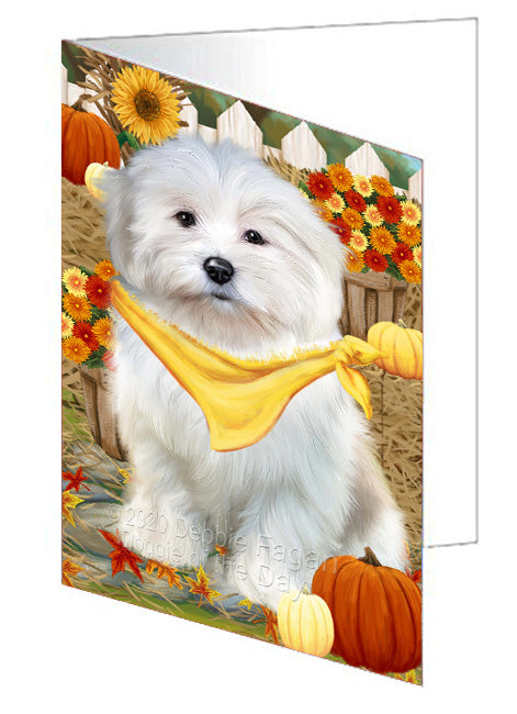 Fall Pumpkin Autumn Greeting Coton De Tulear Dog Handmade Artwork Assorted Pets Greeting Cards and Note Cards with Envelopes for All Occasions and Holiday Seasons