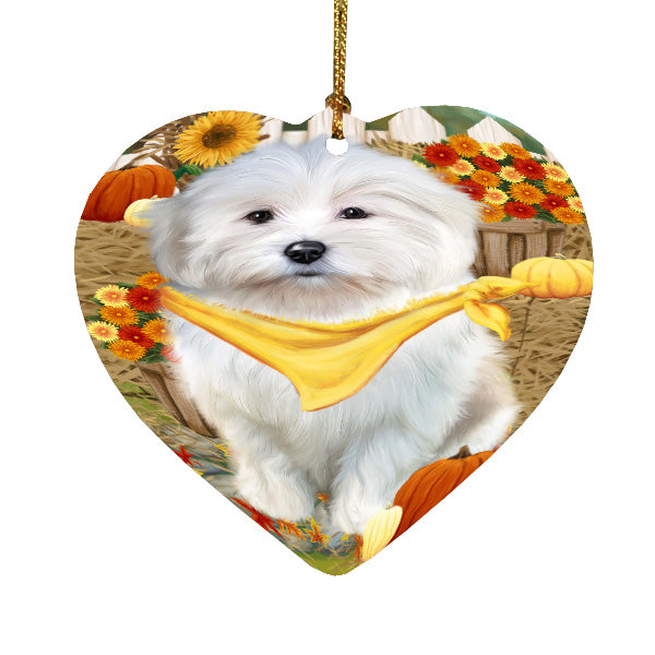 Fall Pumpkin Autumn Greeting Coton De Tulear Dog Heart Christmas Ornament HPORA59259