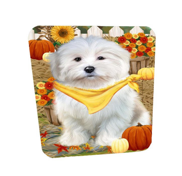 Fall Pumpkin Autumn Greeting Coton De Tulear Dog Coasters Set of 4 CSTA58498