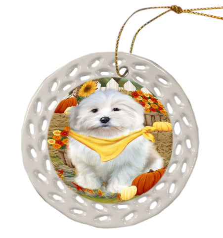 Fall Pumpkin Autumn Greeting Coton De Tulear Dog Doily Ornament DPOR58895