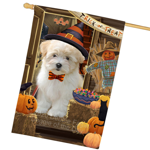 Enter at Your Own Risk Halloween Trick or Treat Coton De Tulear Dogs House Flag Outdoor Decorative Double Sided Pet Portrait Weather Resistant Premium Quality Animal Printed Home Decorative Flags 100% Polyester FLG69042