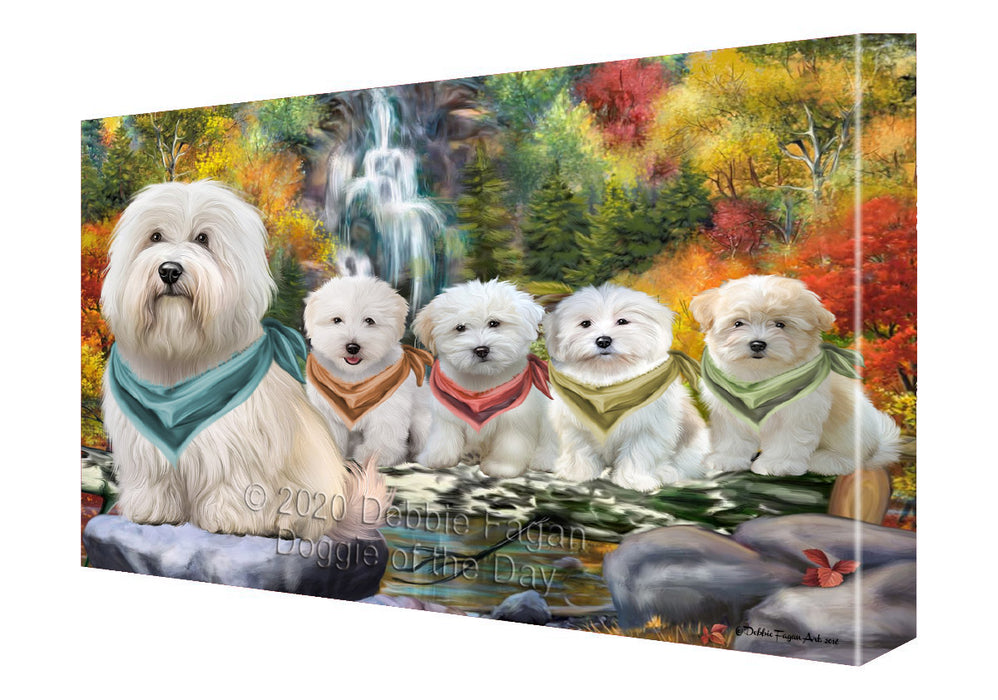 Scenic Waterfall Coton De Tulear Dogs Canvas Wall Art - Premium Quality Ready to Hang Room Decor Wall Art Canvas - Unique Animal Printed Digital Painting for Decoration