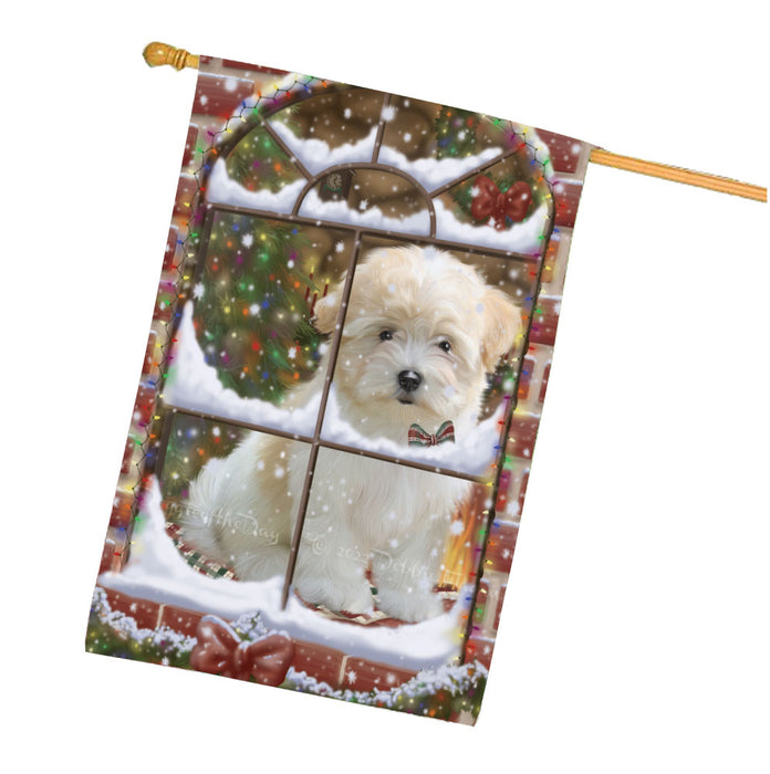 Please come Home for Christmas Coton De Tulear Dog House Flag Outdoor Decorative Double Sided Pet Portrait Weather Resistant Premium Quality Animal Printed Home Decorative Flags 100% Polyester FLG67988