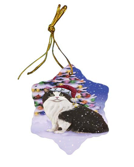 Winterland Wonderland Cymric Cat In Christmas Holiday Scenic Background Star Porcelain Ornament SPOR56060