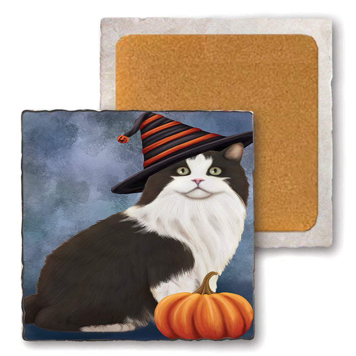 Happy Halloween Cymric Cat Wearing Witch Hat with Pumpkin Set of 4 Natural Stone Marble Tile Coasters MCST49897