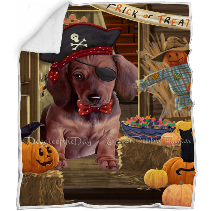 Enter at Own Risk Trick or Treat Halloween Dachshund Dog Blanket BLNKT95295
