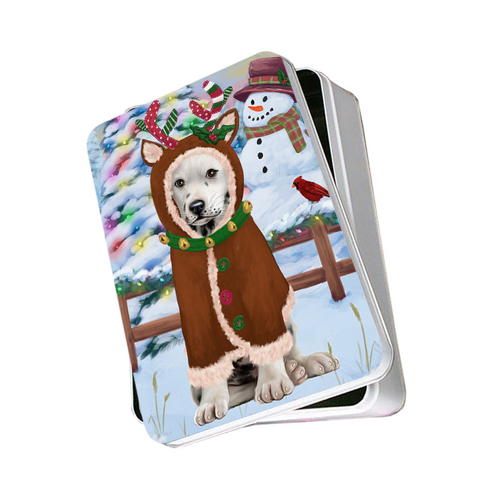 Christmas Gingerbread House Candyfest Dalmatian Dog Photo Storage Tin PITN56266