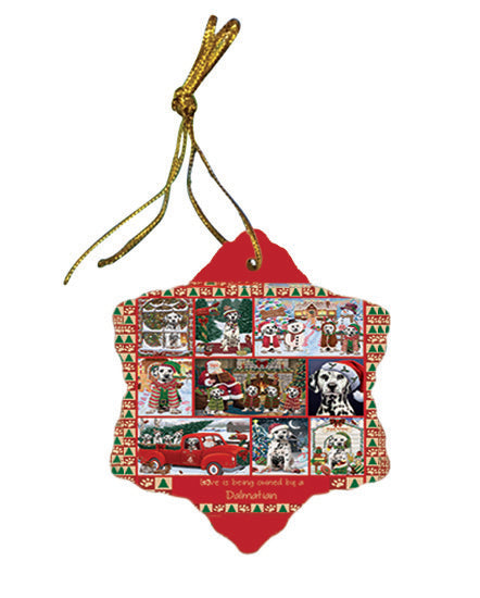 Love is Being Owned Christmas Dalmatian Dogs Star Porcelain Ornament SPOR57849