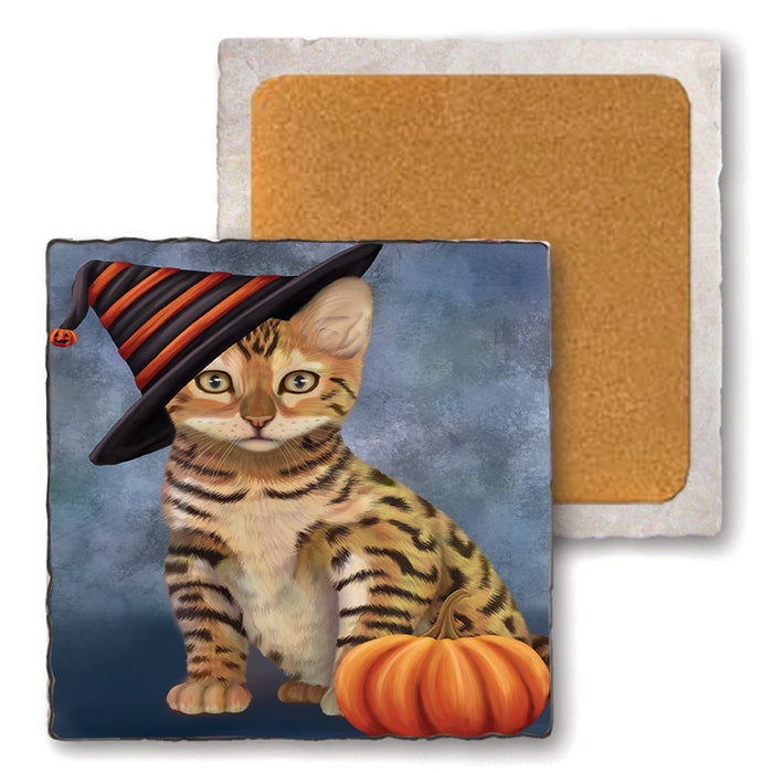 Happy Halloween Dragon Li Cat Wearing Witch Hat with Pumpkin Set of 4 Natural Stone Marble Tile Coasters MCST49899