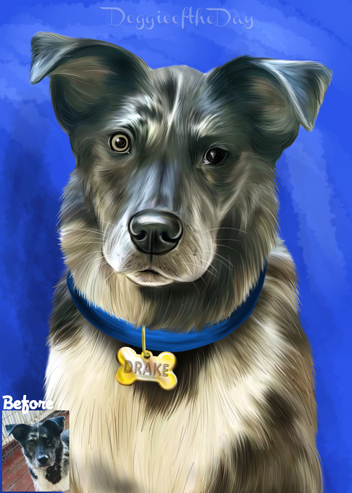 Digital Painting PERSONALIZED PET PORTRAIT! Custom Pet Dog or Cat Art