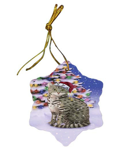 Winterland Wonderland Egyptian Mau Cat In Christmas Holiday Scenic Background Star Porcelain Ornament SPOR56061