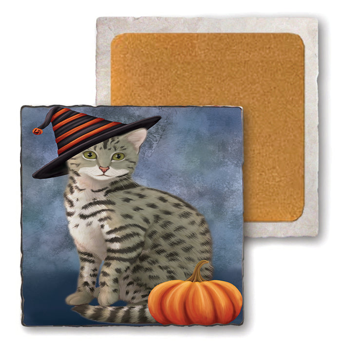 Happy Halloween Egyptian Mau Cat Wearing Witch Hat with Pumpkin Set of 4 Natural Stone Marble Tile Coasters MCST49900