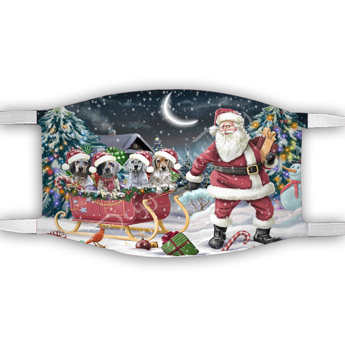 Santa Sled Dogs Christmas Happy Holidays English Setter Dogs Face Mask FM48995