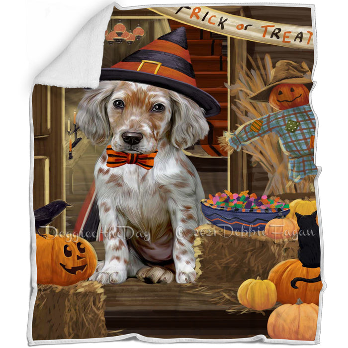 Enter at Own Risk Trick or Treat Halloween English Setter Dog Blanket BLNKT142619