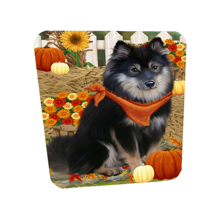 Fall Pumpkin Autumn Greeting Finnish Lapphund Dog Coasters Set of 4 CSTA58504