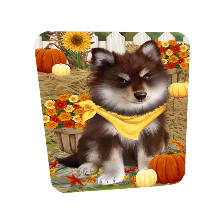 Fall Pumpkin Autumn Greeting Finnish Lapphund Dog Coasters Set of 4 CSTA58505