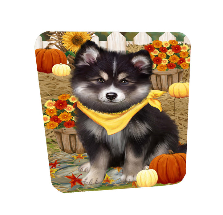 Fall Pumpkin Autumn Greeting Finnish Lapphund Dog Coasters Set of 4 CSTA58506