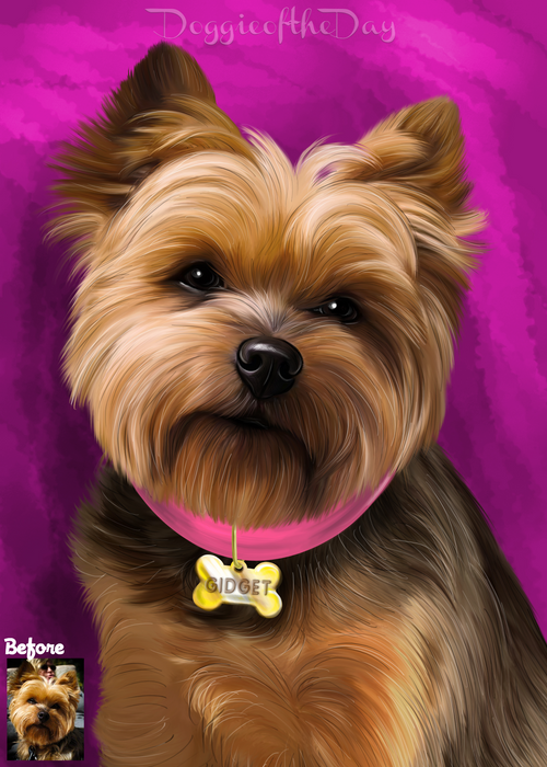 Digital Painting PERSONALIZED Caricature PET PORTRAIT! Custom Pet Dog or Cat Art