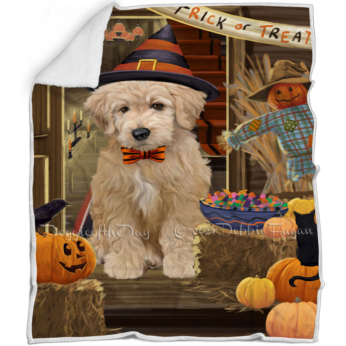 Enter at Own Risk Trick or Treat Halloween Goldendoodle Dog Blanket BLNKT95583