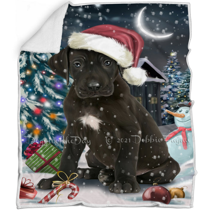 Have a Holly Jolly Christmas Great Dane Dog in Holiday Background Blanket D094