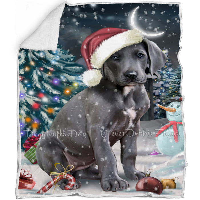 Have a Holly Jolly Christmas Great Dane Dog in Holiday Background Blanket D095