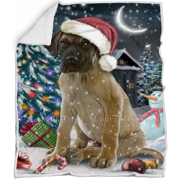 Have a Holly Jolly Christmas Great Dane Dog in Holiday Background Blanket D096