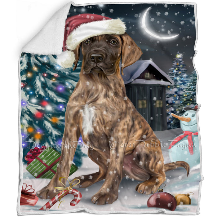 Have a Holly Jolly Christmas Great Dane Dog in Holiday Background Blanket D097