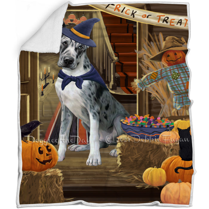Enter at Own Risk Trick or Treat Halloween Great Dane Dog Blanket BLNKT95592