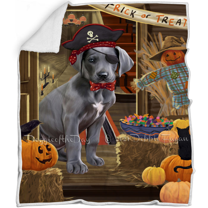 Enter at Own Risk Trick or Treat Halloween Great Dane Dog Blanket BLNKT95610