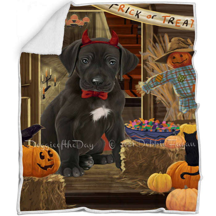 Enter at Own Risk Trick or Treat Halloween Great Dane Dog Blanket BLNKT95619