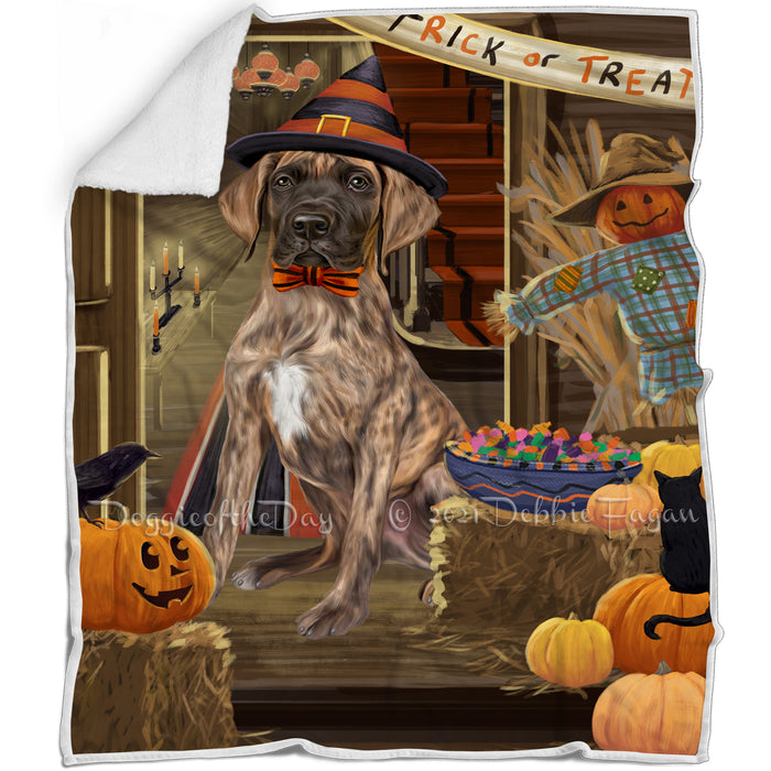Enter at Own Risk Trick or Treat Halloween Great Dane Dog Blanket BLNKT95628