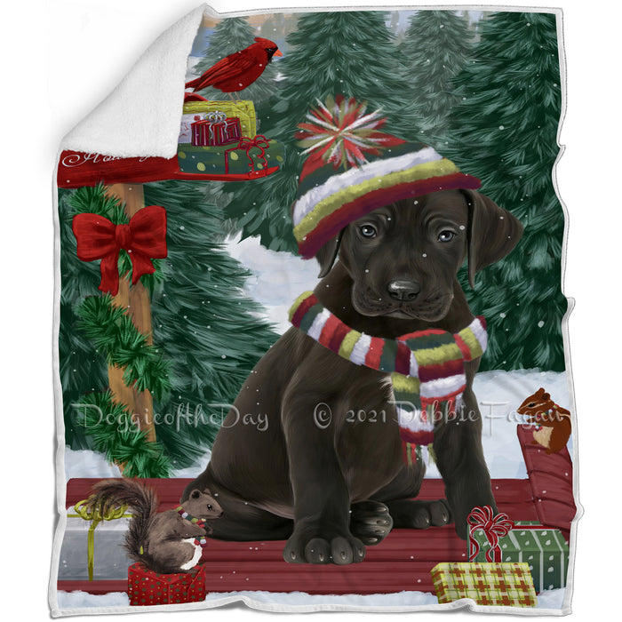 Merry Christmas Woodland Sled Great Dane Dog Blanket BLNKT113889