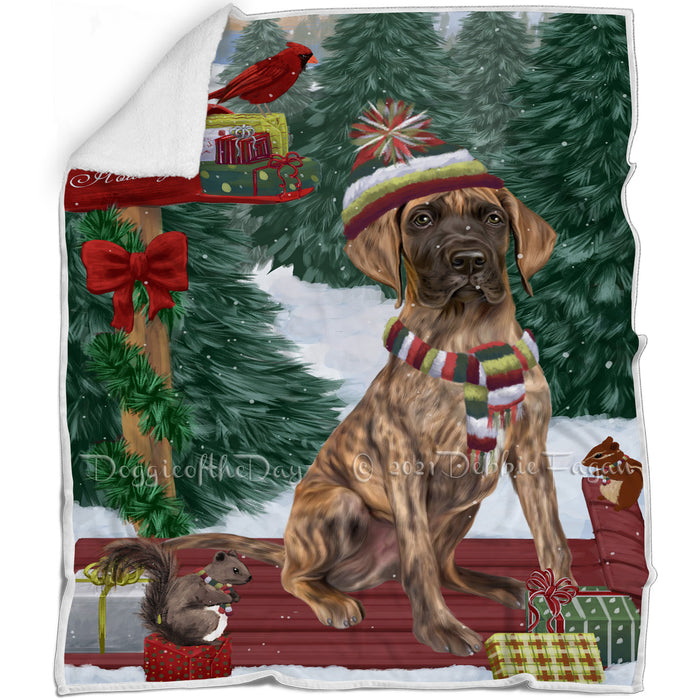 Merry Christmas Woodland Sled Great Dane Dog Blanket BLNKT113907