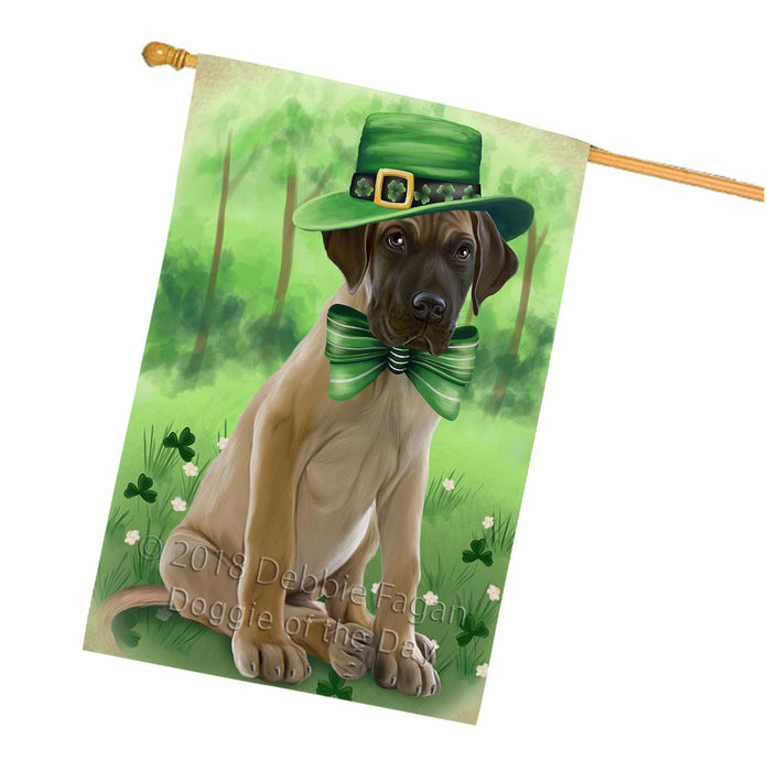 St. Patricks Day Irish Portrait Great Dane Dog House Flag FLG48777