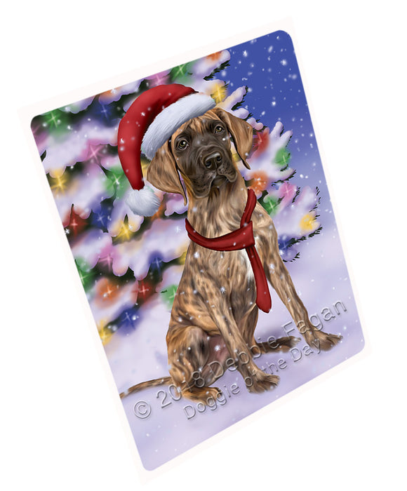 Winterland Wonderland Great Dane Dog In Christmas Holiday Scenic Background  Blanket BLNKT97869