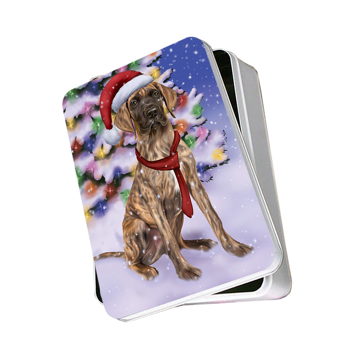 Winterland Wonderland Great Dane Dog In Christmas Holiday Scenic Background Photo Storage Tin PITN53392