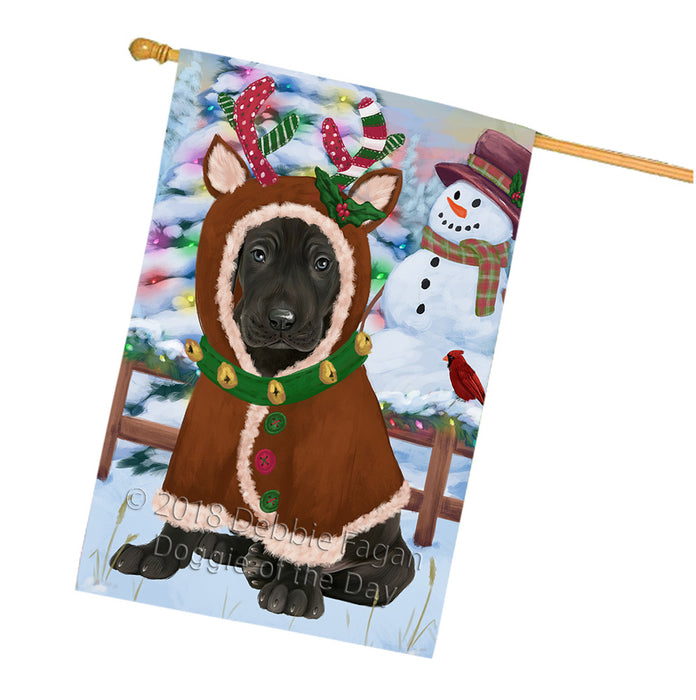 Christmas Gingerbread House Candyfest Great Dane Dog House Flag FLG57031