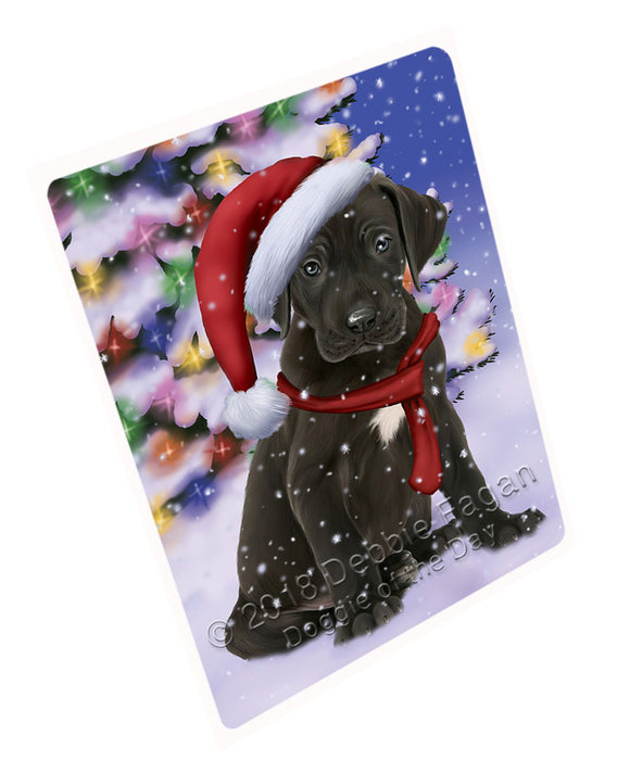 Winterland Wonderland Great Dane Dog In Christmas Holiday Scenic Background  Blanket BLNKT97887