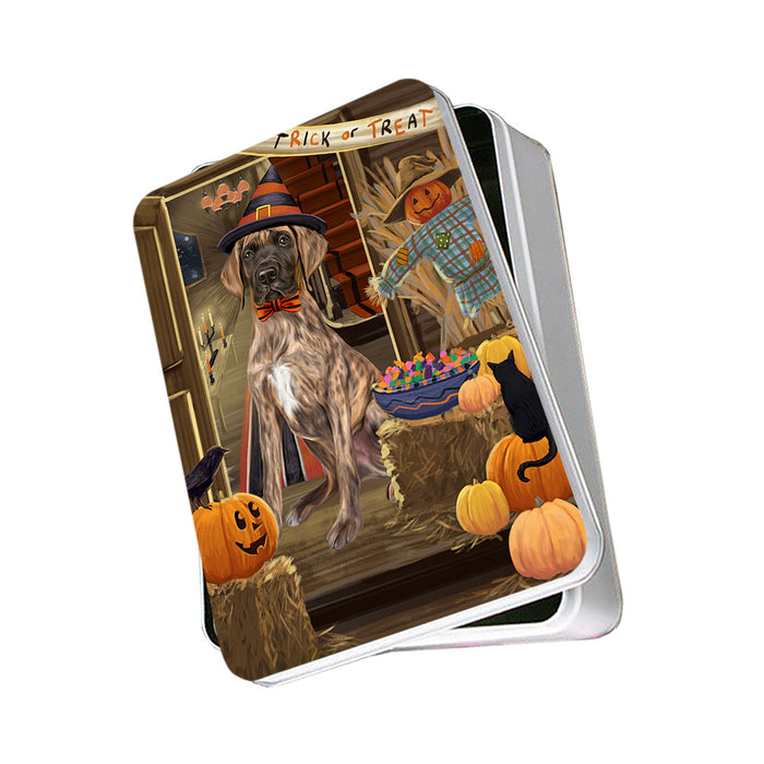 Enter at Own Risk Trick or Treat Halloween Great Dane Dog Photo Storage Tin PITN53143