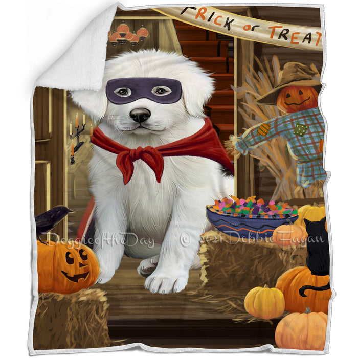Enter at Own Risk Trick or Treat Halloween Great Pyrenee Dog Blanket BLNKT95646