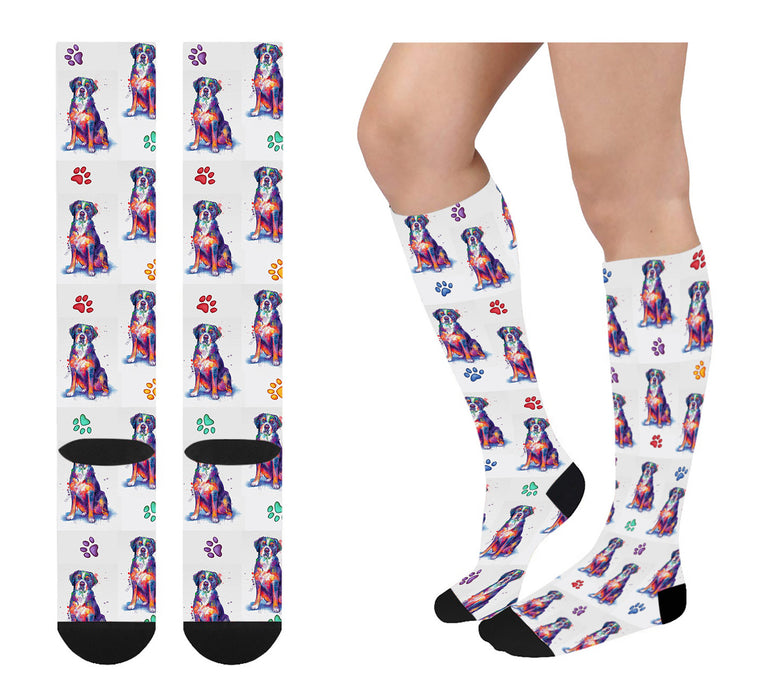 Watercolor Greater Swiss Mountain Dogs Women's Over the Calf Socks