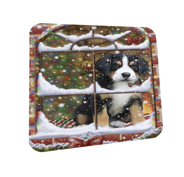 Please Come Home For Christmas Greater Swiss Mountain Dog Sitting In Window Coasters Set of 4 CST53592