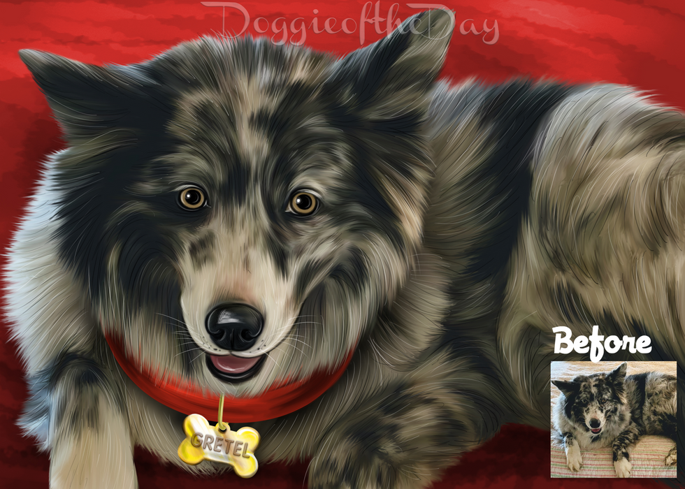 Digital Painting PERSONALIZED PET PORTRAIT! Custom Pet Dog or Cat Art