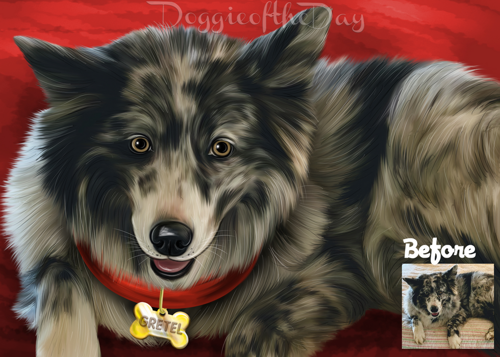 Copy of Digital Painting PERSONALIZED PET PORTRAIT! Custom Pet Dog or Cat Art