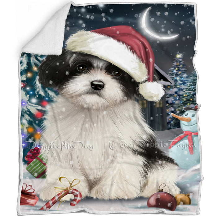 Have a Holly Jolly Christmas Havanese Dog in Holiday Background Blanket D100