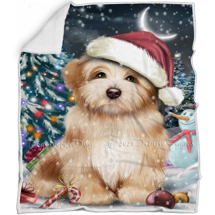 Have a Holly Jolly Christmas Havanese Dog in Holiday Background Blanket D101
