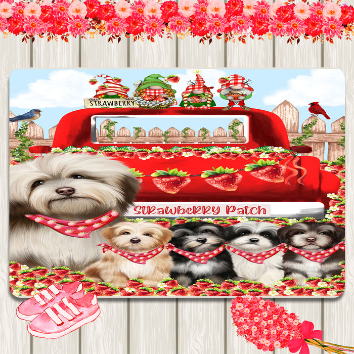 Havanese Area Rug and Runner, Explore a Variety of Designs, Personalized, Indoor Floor Carpet Rugs for Home and Living Room, Custom, Dog Gift for Pet Lovers